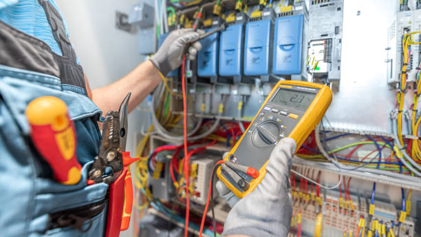 Best Electric Panel Repair  in Leisure Knoll, NJ